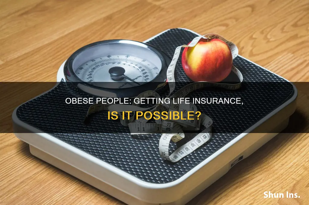 can an obese person get life insurance