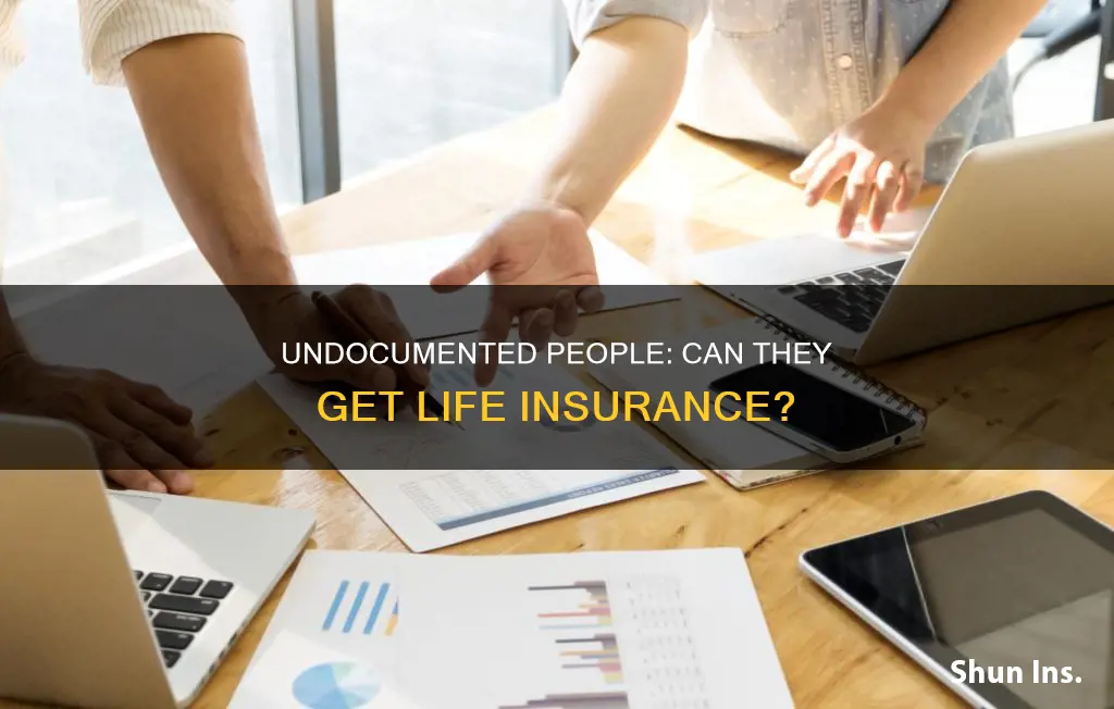 can an undocumented person get life insurance