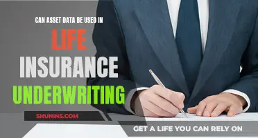 Asset Data: Life Insurance Underwriting's Future?