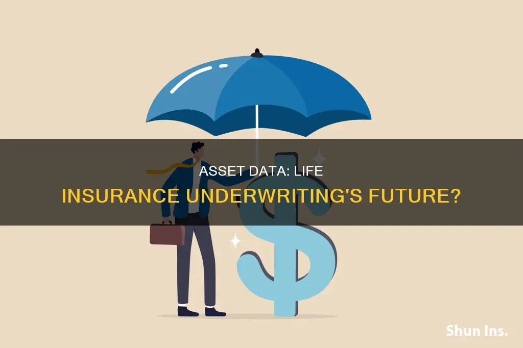 can asset data be used in life insurance underwriting