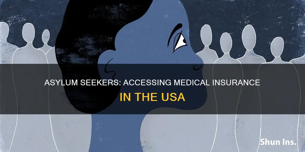 can asylum seekers get medical insurance in usa