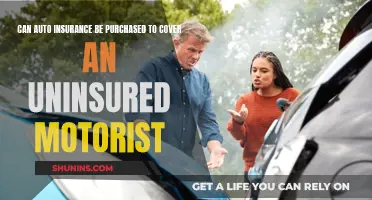 Uninsured Motorist Coverage: Can You Insure the Uninsured?