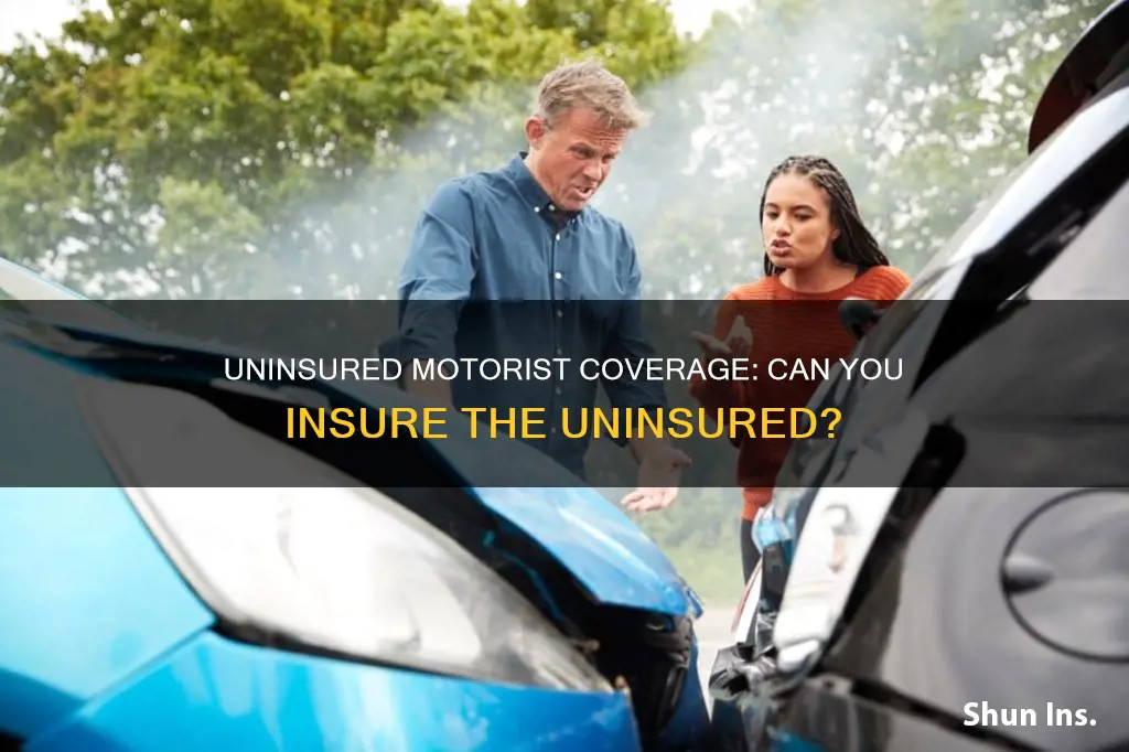 can auto insurance be purchased to cover an uninsured motorist