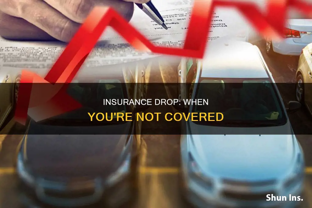 can auto insurance companies drop you