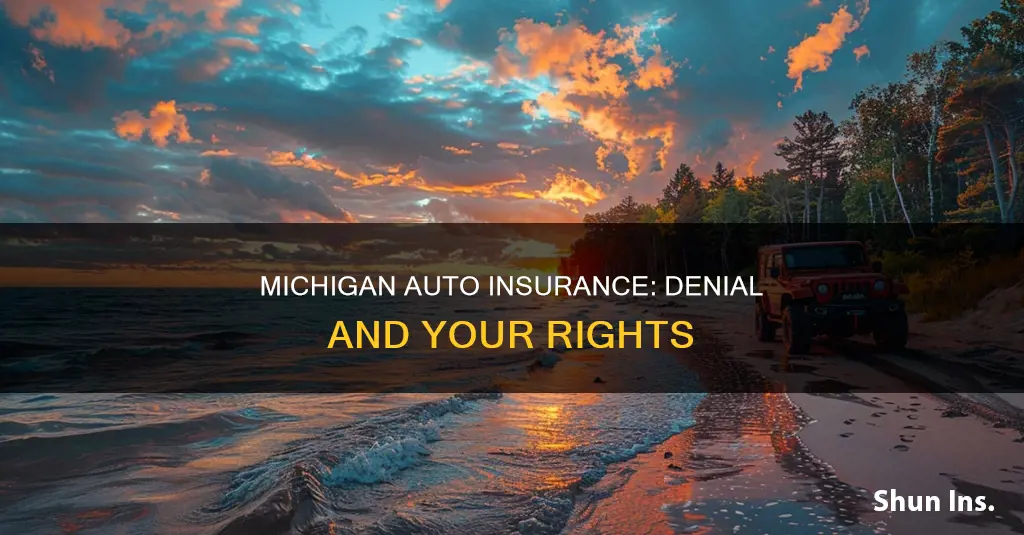 can auto insurance company deny policy michigan