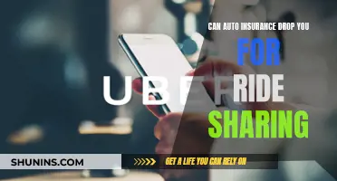 Insurance Risks: Ride Sharing