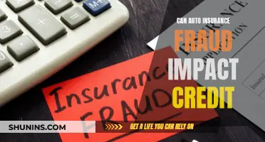 Insurance Fraud: Credit Impact