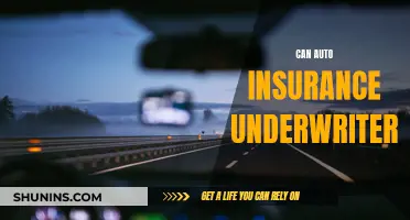 Underwriters: Auto Insurance Gatekeepers