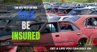 Salvage Title Insurance: Is It Possible?