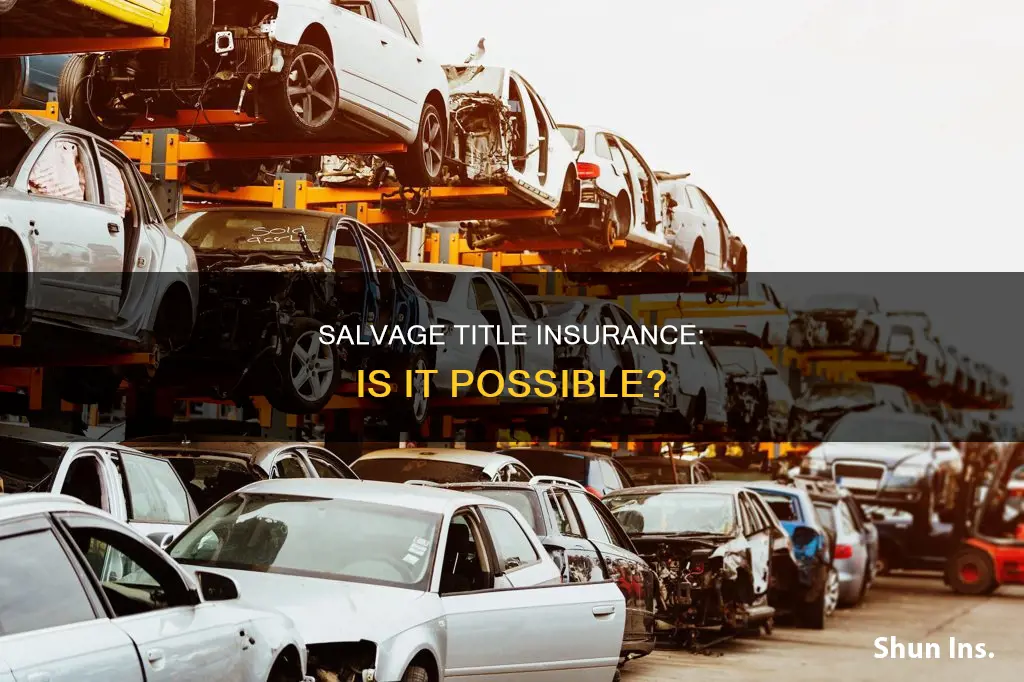 can auto with salvage title be insured