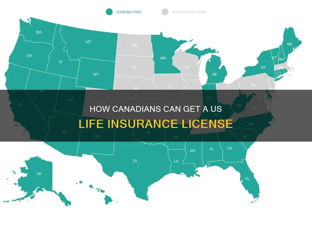 can canada citizen apply for a us life insurance license