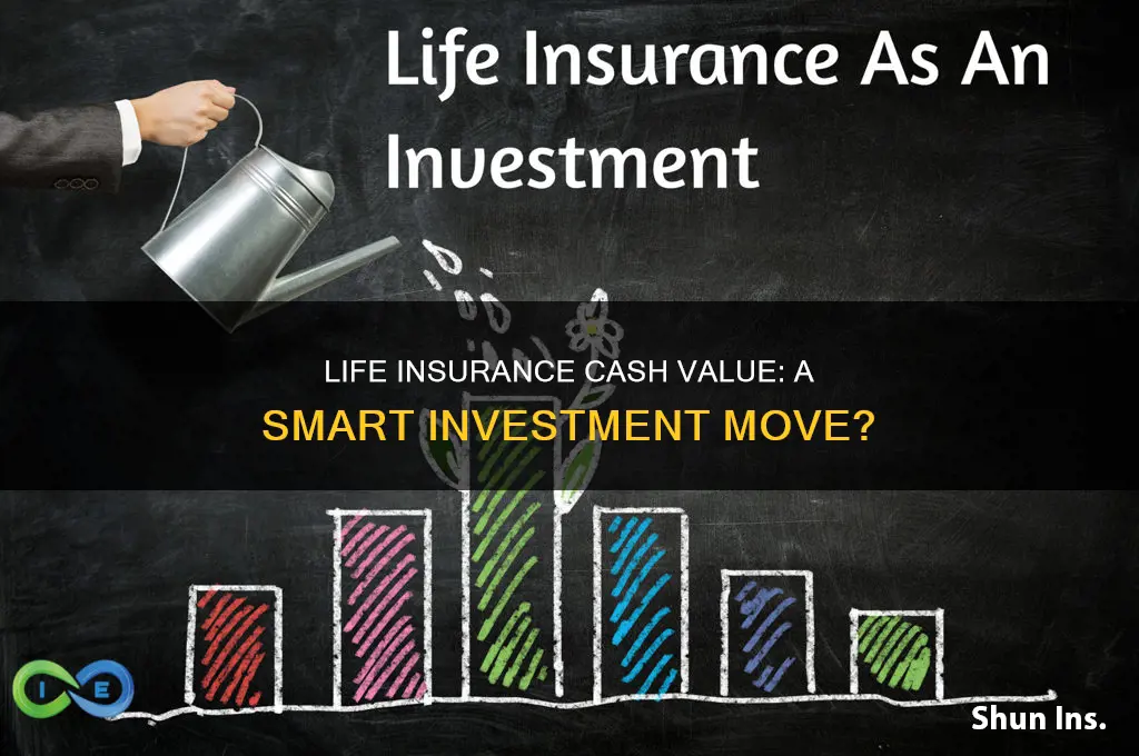 can cash value in life insurance be considered as investment