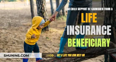 Life Insurance and Child Support: Can It Be Garnished?