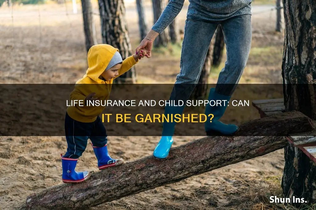 can child support be garnished from a life insurance beneficiary