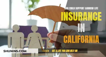 Child Support and Life Insurance: Can It Be Garnished?