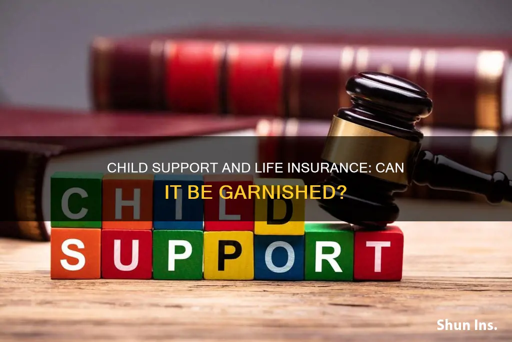 can child support garnish life insurance in California