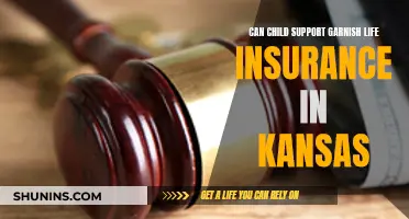 Child Support and Life Insurance: Kansas Garnishment Rules