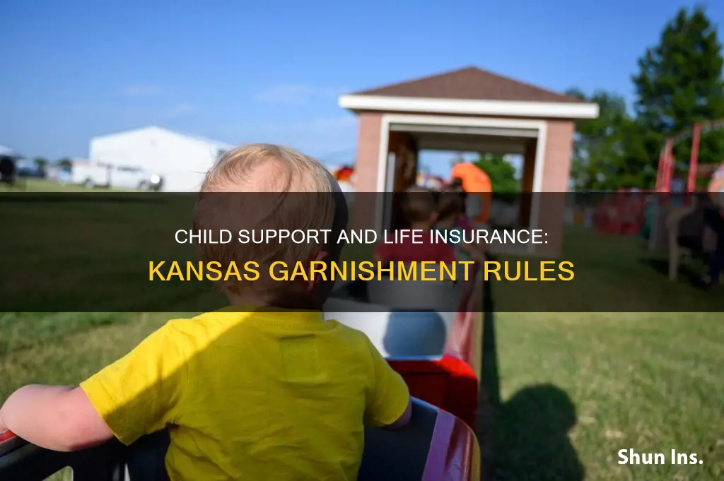 can child support garnish life insurance in kansas