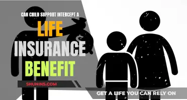 Child Support and Life Insurance: Can Benefits Be Intercepted?