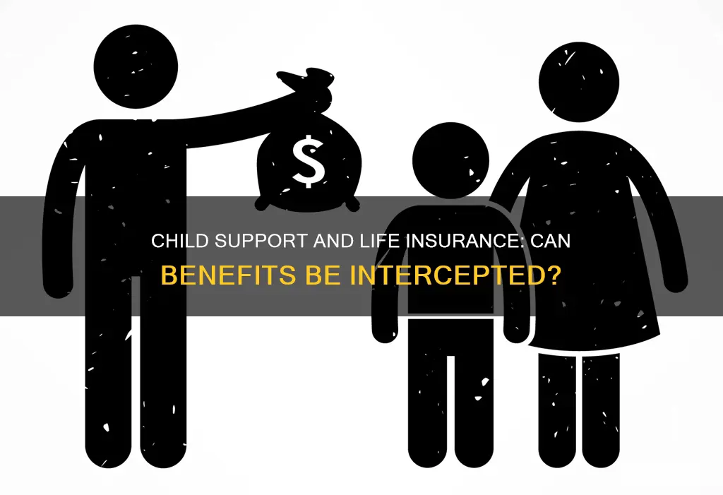 can child support intercept a life insurance benefit