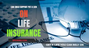 Child Support and Life Insurance: Can They Place a Lien?