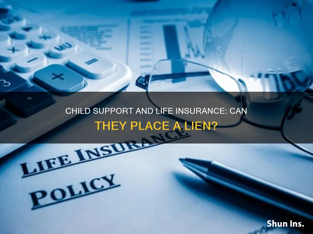 can child support put a lien on life insurance