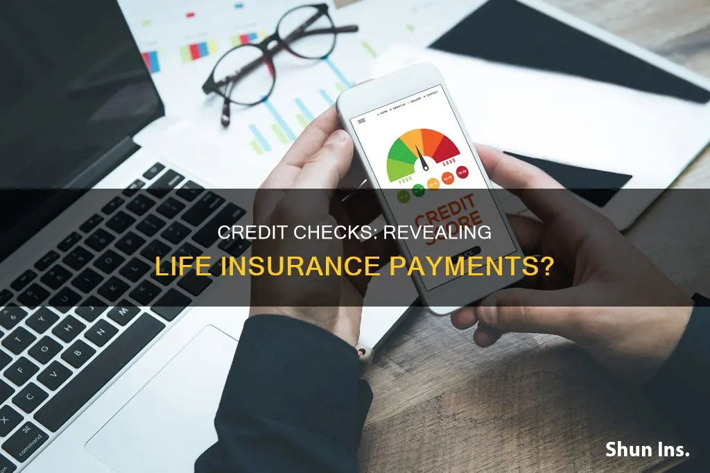 can credit check show life insurance payment