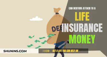 Life Insurance and Debt: Can Creditors Access Your Benefits?