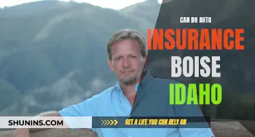 Can Do Auto Insurance: Boise, Idaho's Best