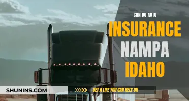 Auto Insurance Nampa: Can-Do!