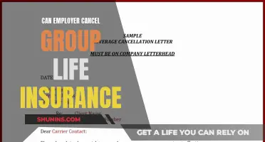 Employer's Right to Cancel Group Life Insurance: Explained