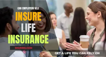 Self-Insuring Life Insurance: A Viable Option for Employers?