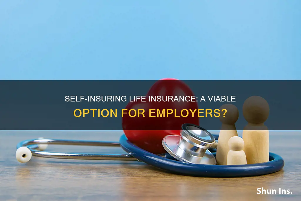 can employers self insure life insurance