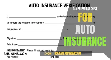 Enterprise Auto Insurance Checks