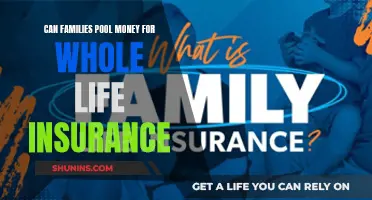 Pooling Money for Whole Life Insurance: A Family Affair