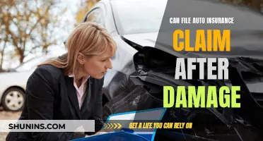 File Claims: Car Damage