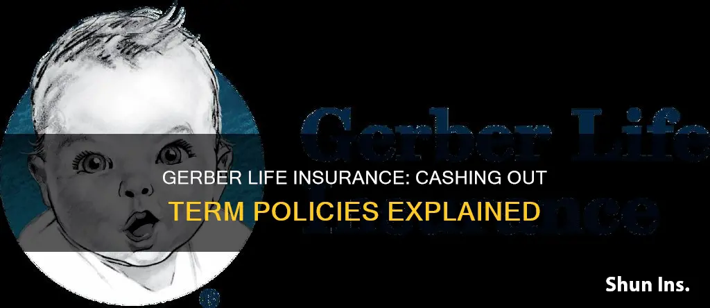 can gerber cash out term life insurance