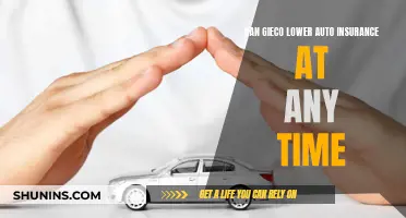 Gieco: Auto Insurance Adjustments