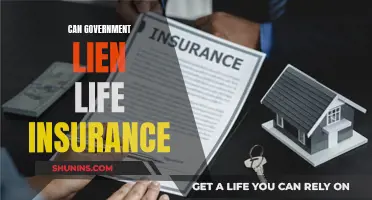 Life Insurance and Government: Understanding Liens and Their Impact