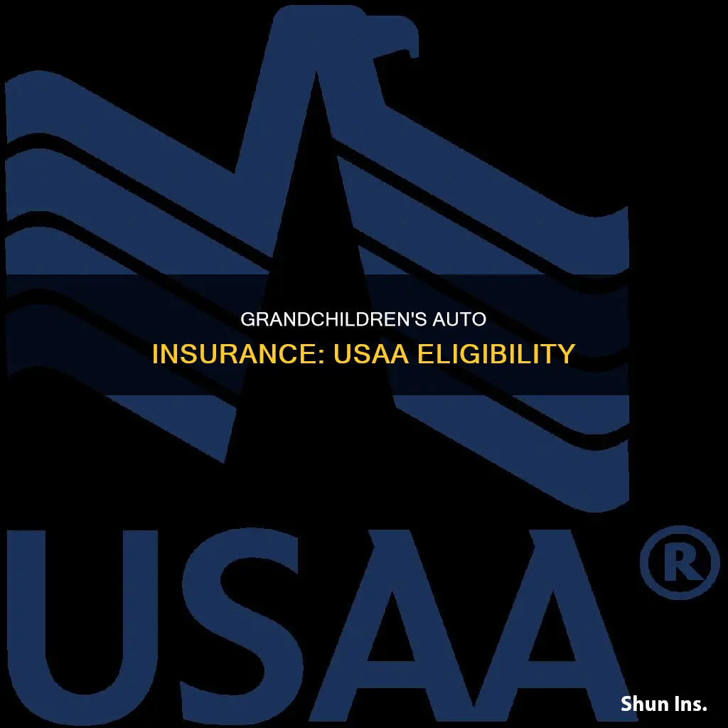 can grandchildren get usaa auto insurance