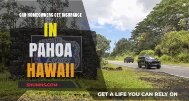 Home Insurance in Pahoa, Hawaii: Is It Possible?