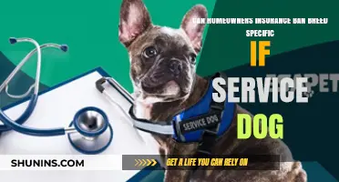 Home Insurance and Service Dogs: Breed Discrimination