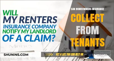 Home Insurance: Can Tenants Be Held Accountable?