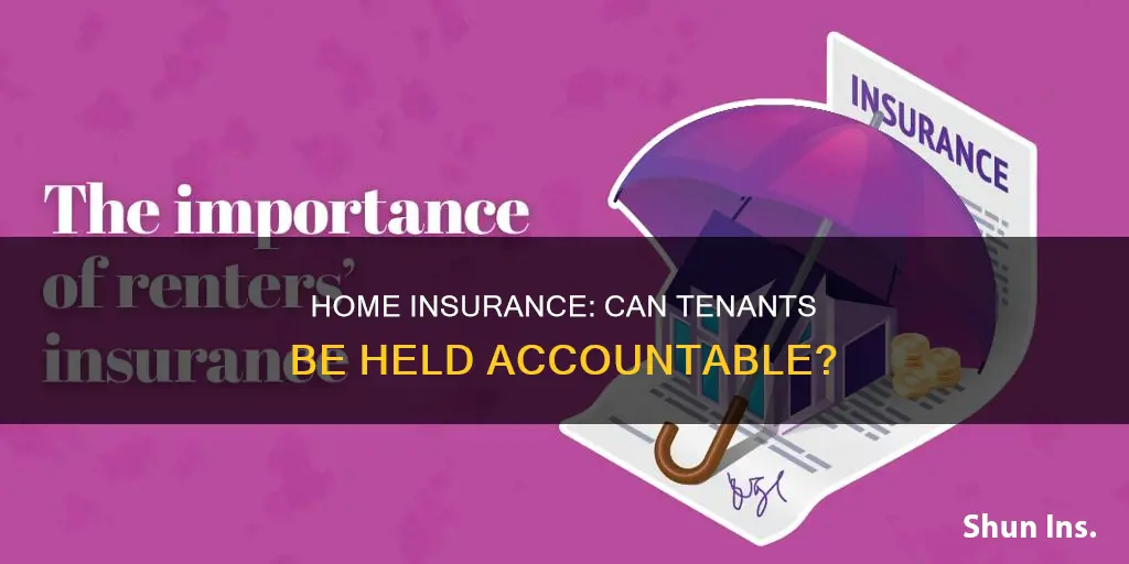 can homeowners insurance collect from tenants