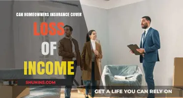 Homeowners Insurance: Income Loss Coverage Explained
