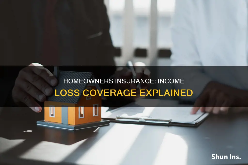 can homeowners insurance cover loss of income