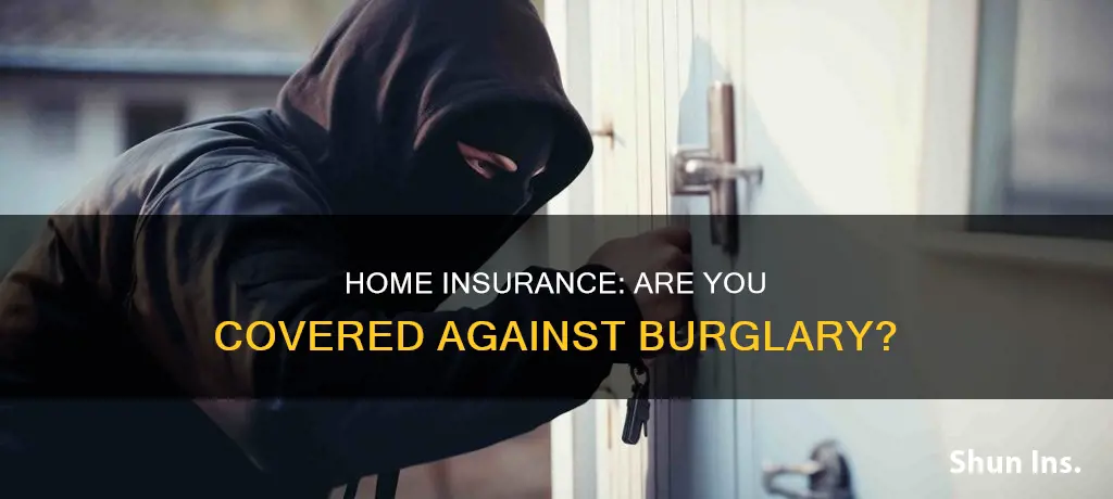 can homeowners insurance cover robbery