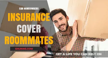 Home Insurance: Does It Cover Roommates?