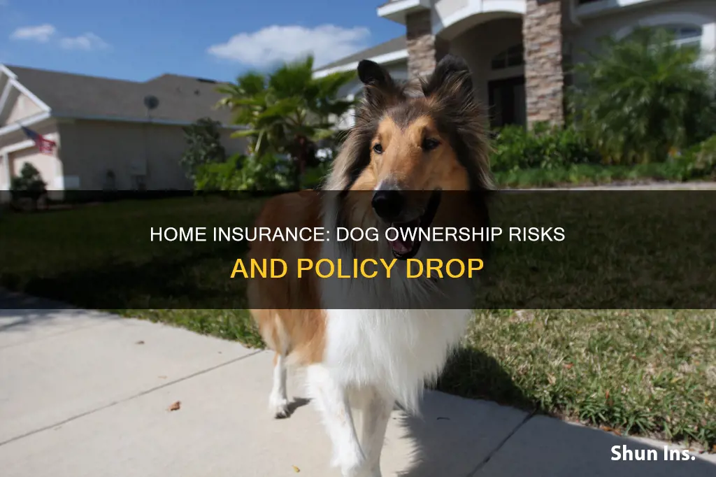 can homeowners insurance drop you because of a dog