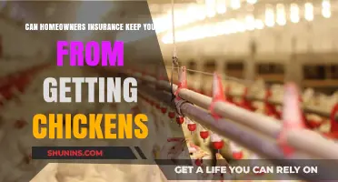 Home Insurance and Chickens: What's the Cluck?
